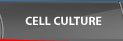 Cell Culture