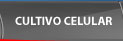 Cultivo Celular